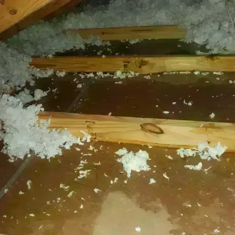 Attic Water Damage in Ladera, CA