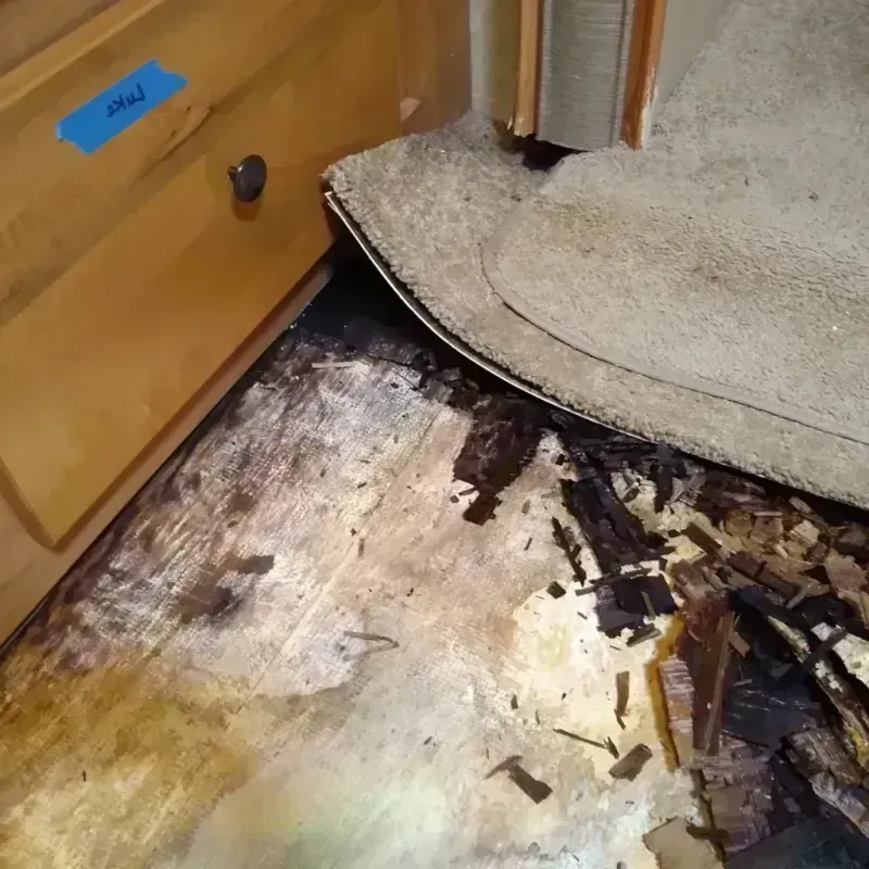 Wood Floor Water Damage in Ladera, CA